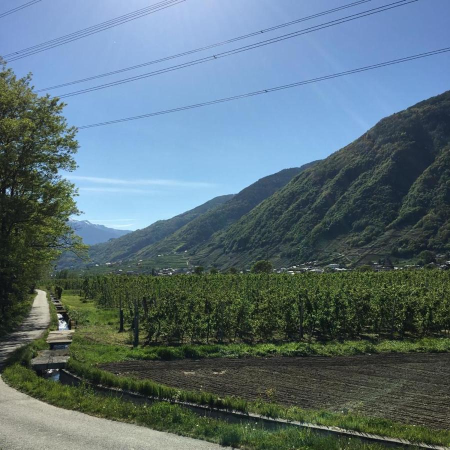 Casa Vacanze - Residenza Elvezia Tirano Buitenkant foto